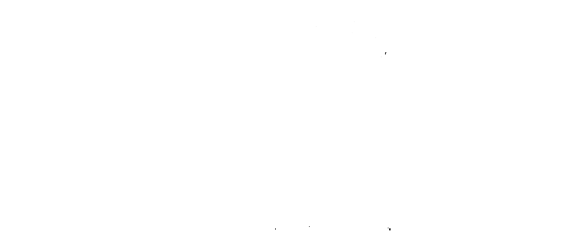 Local Market Fair
